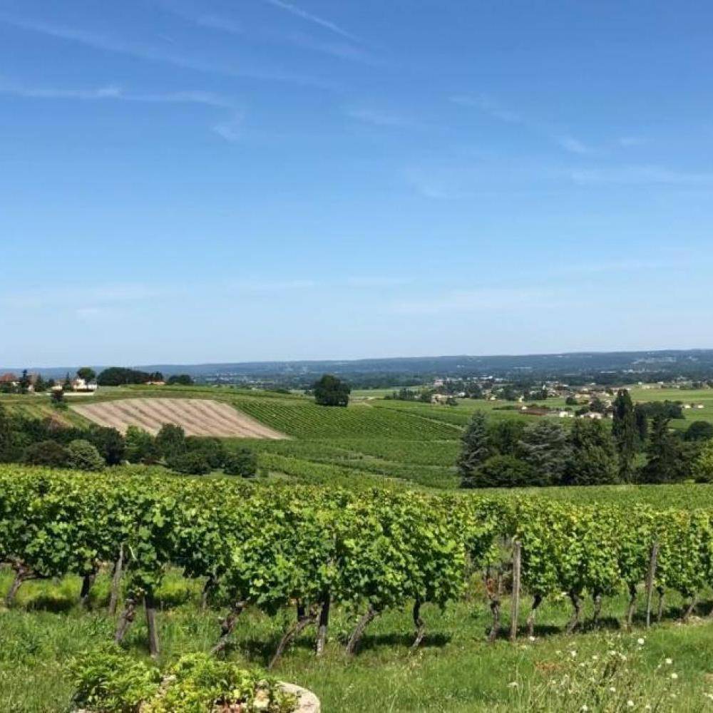 vin Dordogne